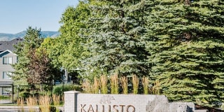 Kallisto at Bear Creek Gallery 31