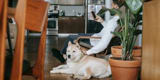 Savannah at North Dallas Gallery 5