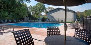 Goldelm at Cedar Bluff Gallery 3