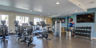 Harborside Marina Bay Gallery 13