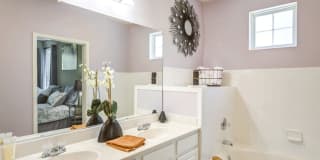 Vivant Woodholme Gallery 8