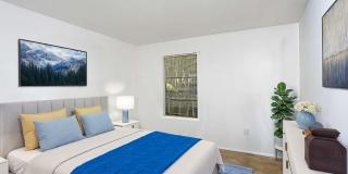 Andover Park Gallery 7