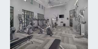 Avita Alamo Heights Gallery 14