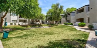 The Madison Gallery 25