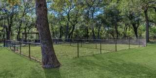 Diamond Loch Gallery 25