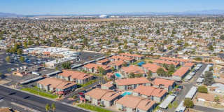 Agave on 83rd Gallery 27