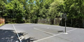 Cross Creek Gallery 21