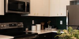 The Zenith Gallery 9