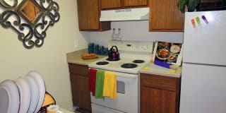 Alexis Park Gallery 22