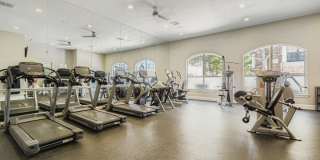 The Livingston Gallery 13