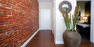 1201 North Charles Gallery 6