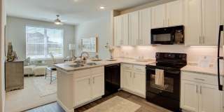 The Travis Gallery 1