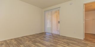 Whispering Willows Gallery 11