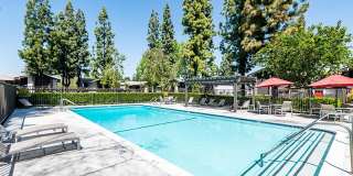 Portola Redlands Gallery 15