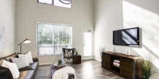 Lofts at Chestnut Gallery 3