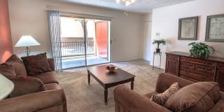 Ventana Palms Gallery 16