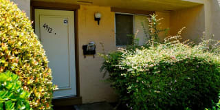 Ventura Terrace Gallery 17