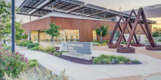 Vida at Daybreak Gallery 33