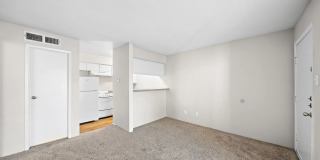 Flint at 290 Gallery 10