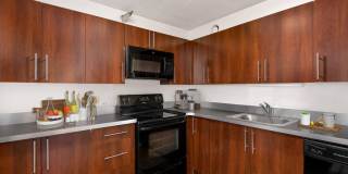 1000 North Lasalle Gallery 12