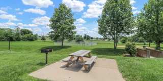Excelsior Gardens Gallery 28