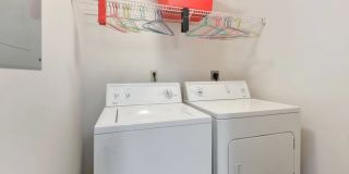 Carrington Point Gallery 8