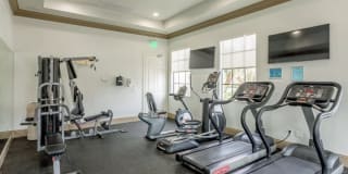 Portofino Landings Gallery 2