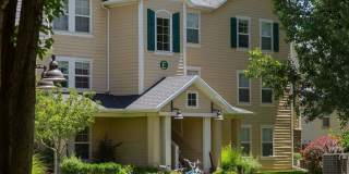The Bluffs Gallery 21