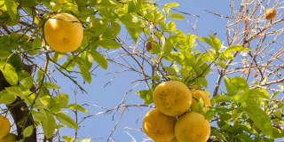 The Cascades Apartments Gallery 14