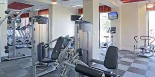 3343 Memorial Gallery 19