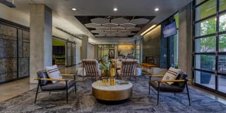 Agave 350 Gallery 18