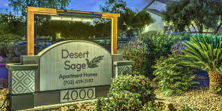 Desert Sage Gallery 51