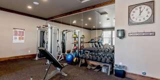 Central Park Gallery 20