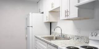 Orlando Sky Gallery 4