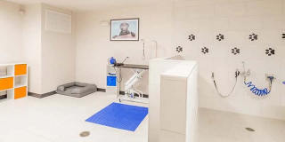 Viceroy Observatory Park Gallery 23