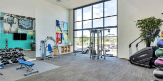 The Curve at Melrose Gallery 22