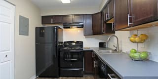 The Harrison Gallery 9