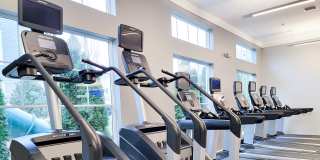 Prairie Winds Gallery 15