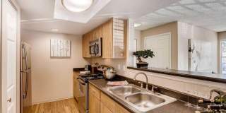 Chestnut Ridge Gallery 5