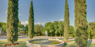 Vineyard Springs Gallery 21
