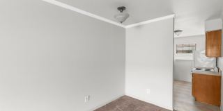 South Hill HP Gallery 9