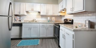 Parliament House Gallery 1