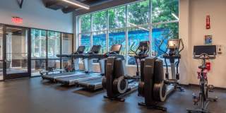 The Scholar The Scholar Gallery 11