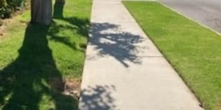 Nelk Manor Gallery 19