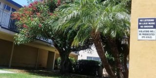 Velvet Green Apartments Gallery 11