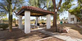 The Residences at Palm Valley Gallery 36