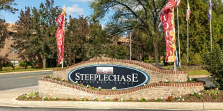 Steeplechase Gallery 26
