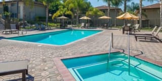 Monterra Springs Gallery 1