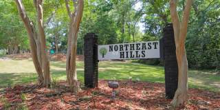 Northeast Hills Apartments Gallery 29