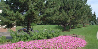 Breton Court Gallery 12